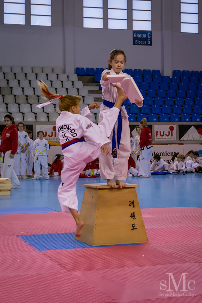 TAEKWONDO CAMPEONATO PAREJAS ABRIL 2018_1802.jpg